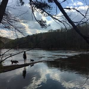 Meet your Posher, Caitlin