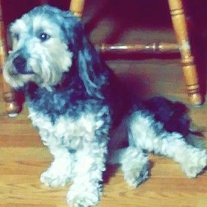 Meet your Posher, Lynn