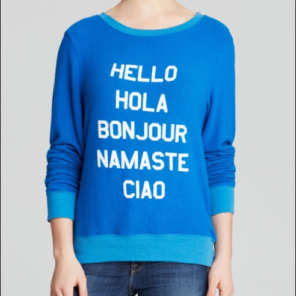 Wild fox Say Hello Blue Jumper