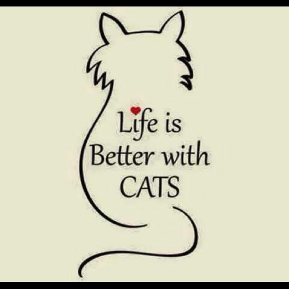 Meet your Posher, Joy