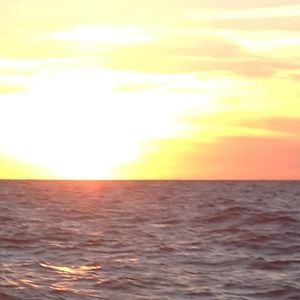 Meet your Posher, Ray james