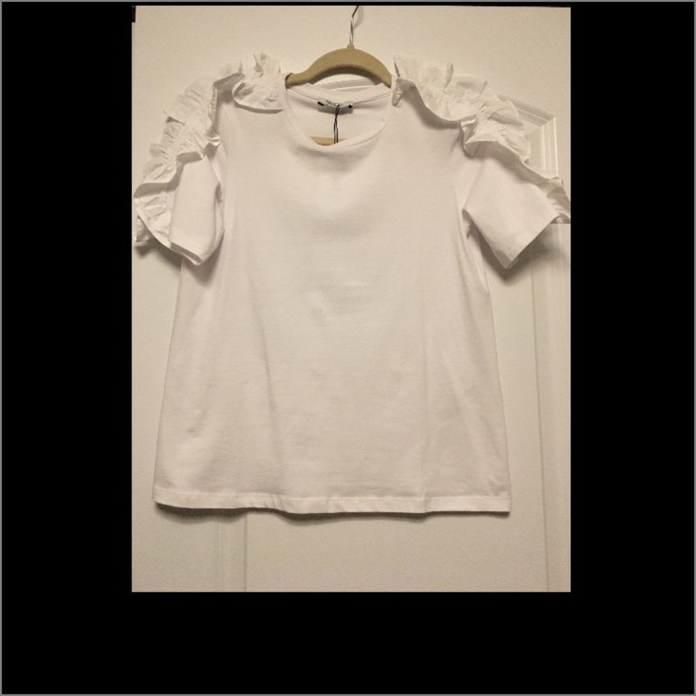 Ruffled sleeves blouse