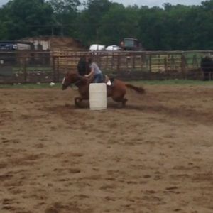 Meet your Posher, Baylee