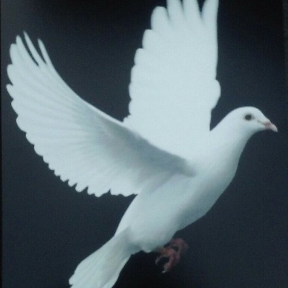 Meet your Posher, Maria