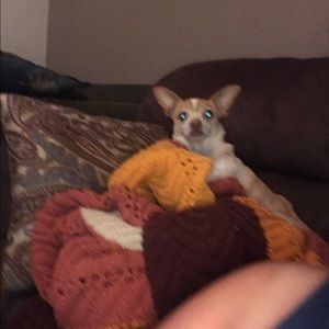 Meet your Posher, Audrey