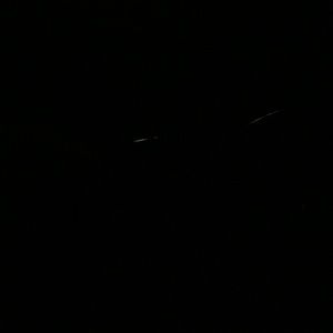 Meet your Posher, Ty