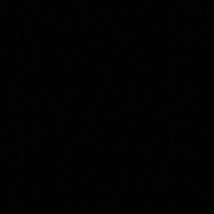 Meet your Posher, Shelly