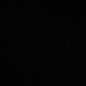 Meet your Posher, Demarcus