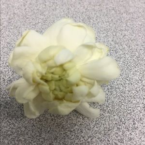 Meet your Posher, Jane