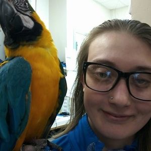 Meet your Posher, Lisa