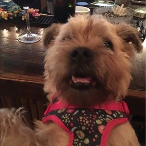 Meet your Posher, Micheala