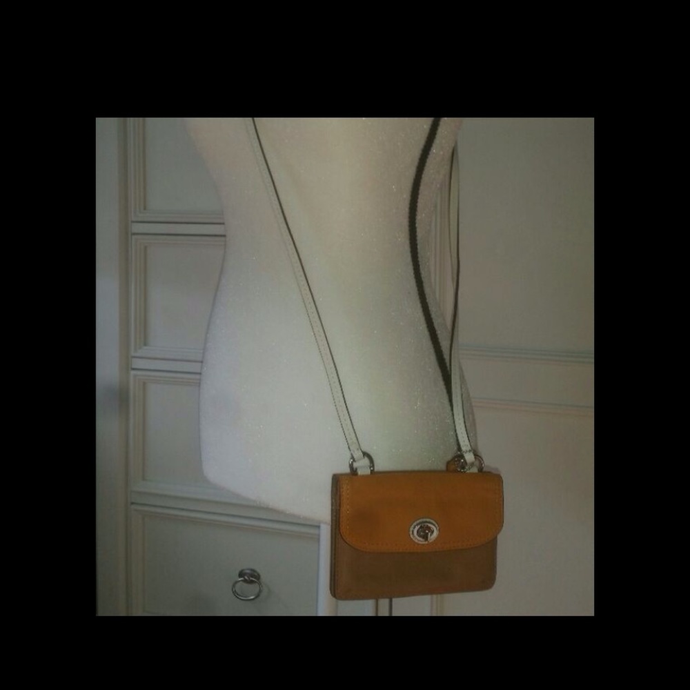 Coach Color block swingpack wallet