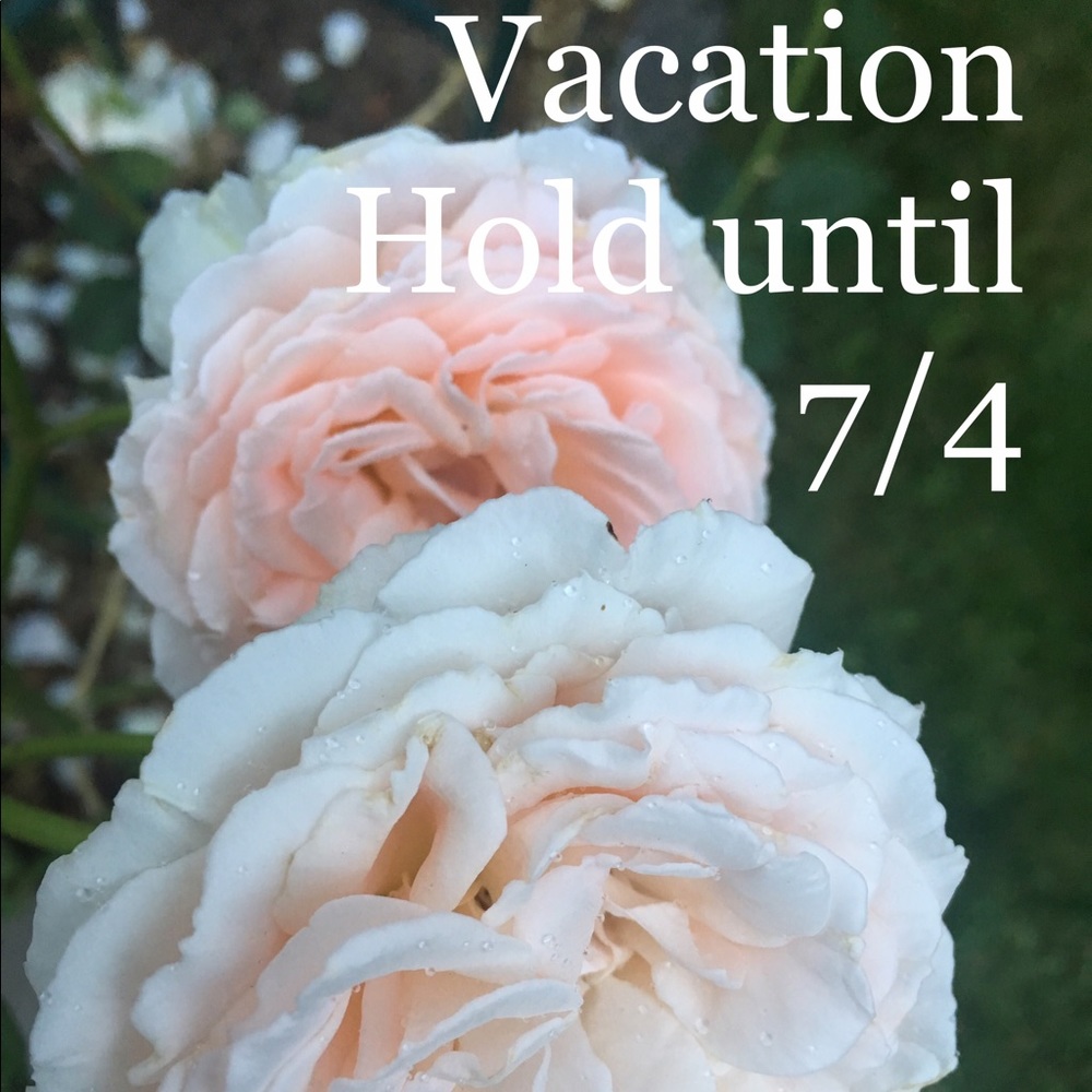 On Vacation!