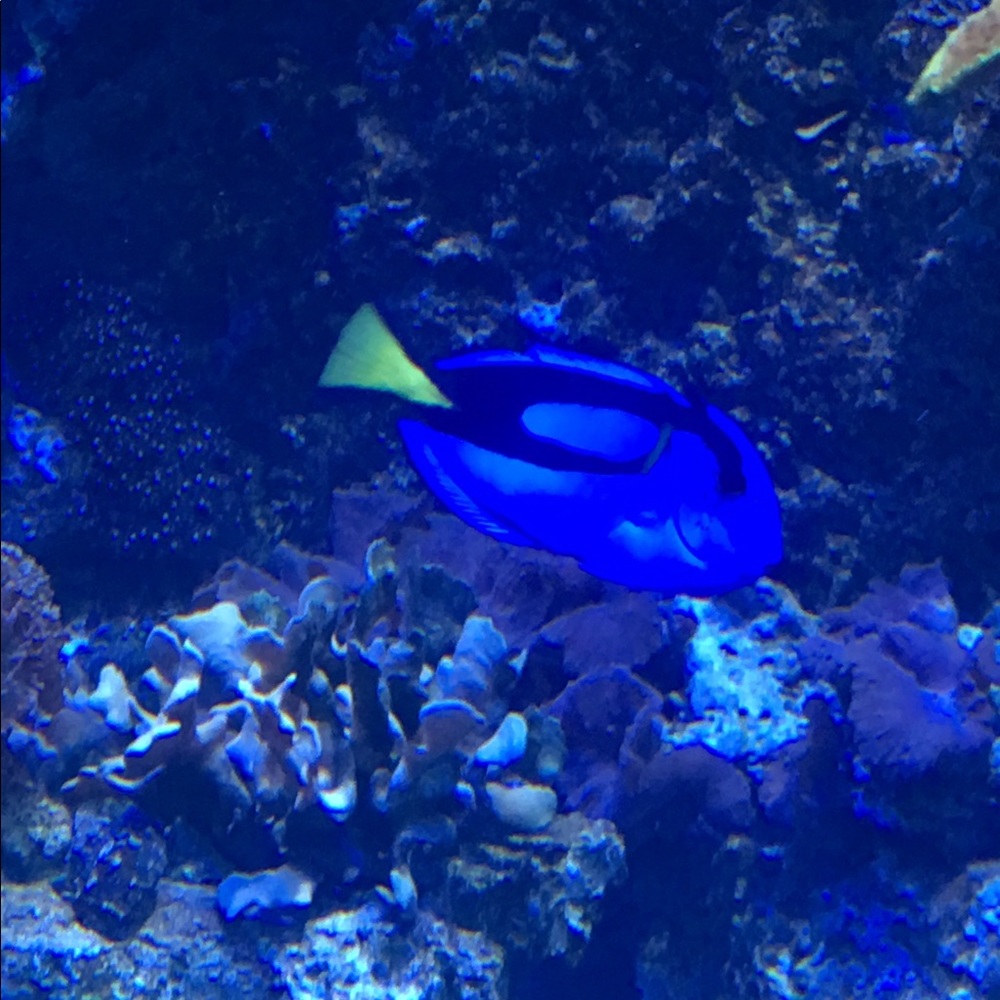 Meet your Posher, Kimberly