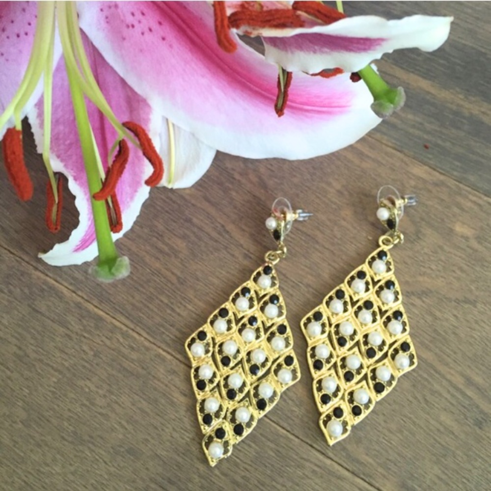 NWOT Dangling Statement Earrings
