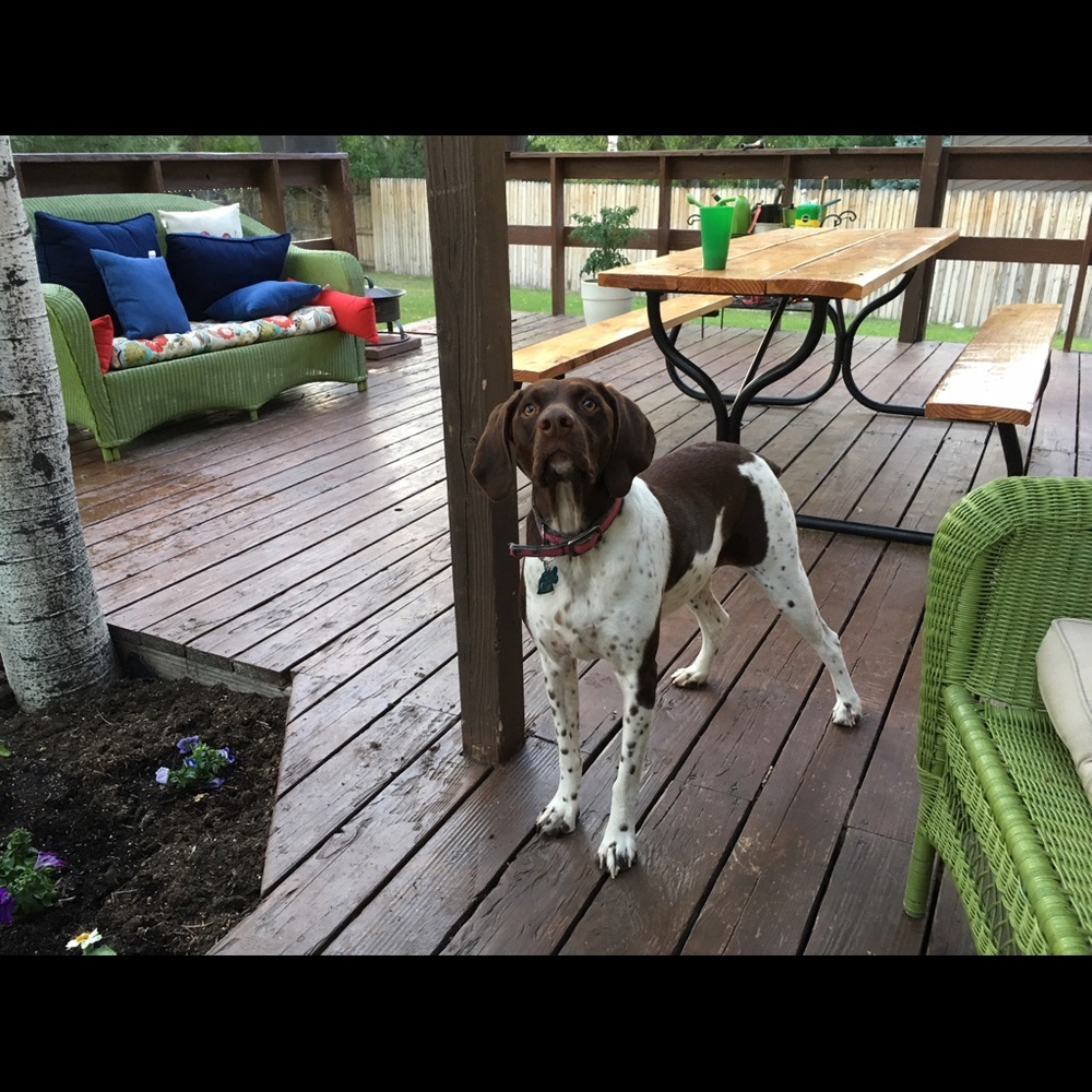 Meet your Posher, Jul