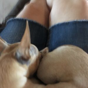 Meet your Posher, Deb