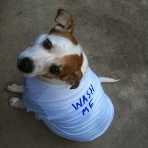 Meet your Posher, Jamie