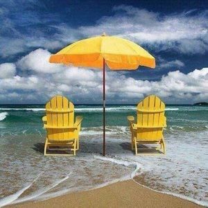 Meet your Posher, Robin