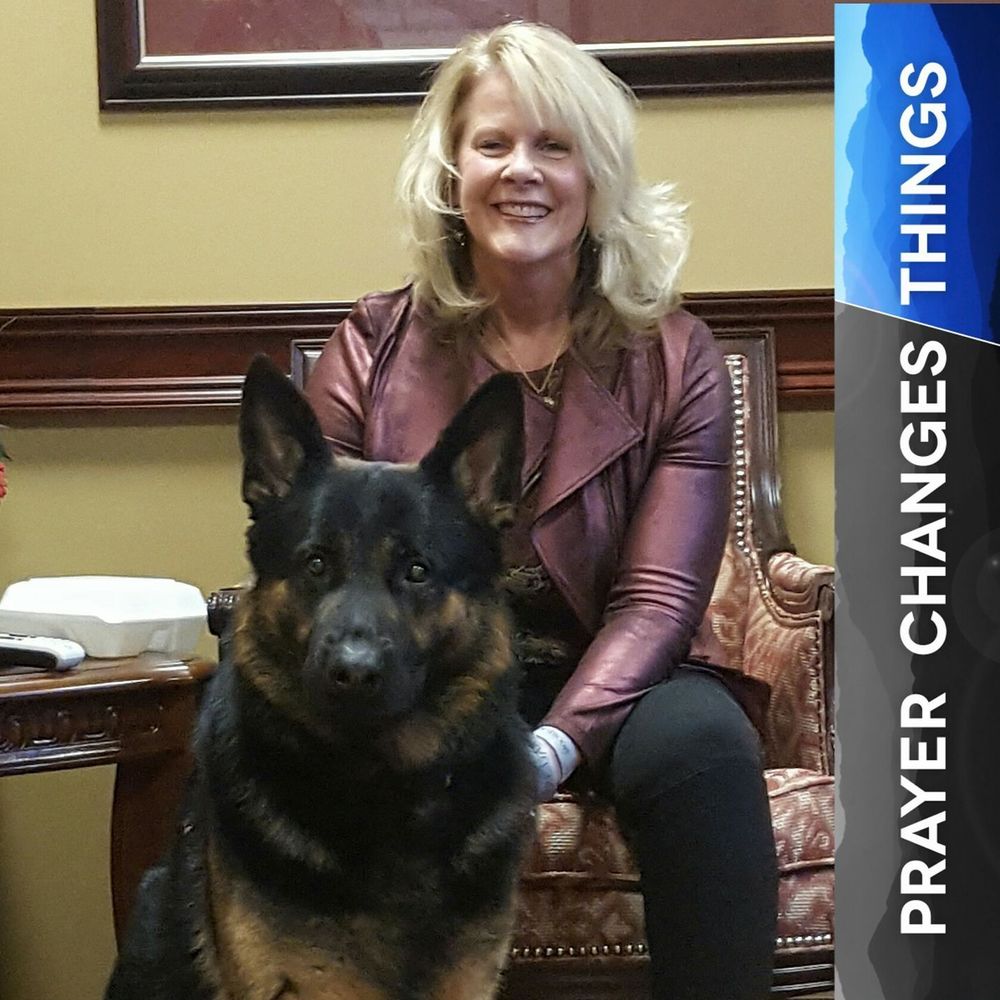 Meet your Posher, Beverly