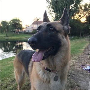 Meet your Posher, Don