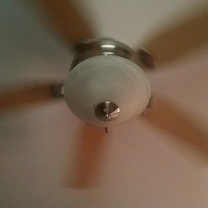 Meet your Posher, Tami