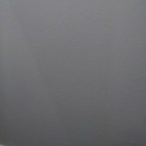 Meet your Posher, Dashira