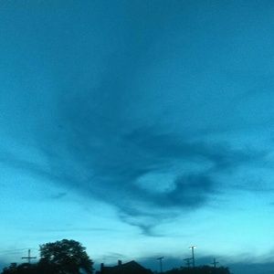 Meet your Posher, Beverly