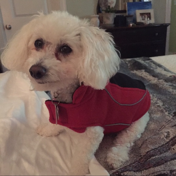 I'm not for sale!!...LOL....who would buy anyway?? - Picture 5 of 8