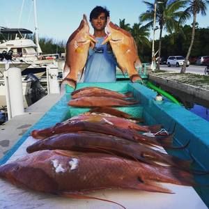 Meet your Posher, Silvio