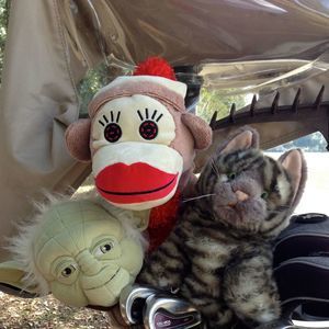 Meet your Posher, Patty