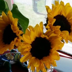 Meet your Posher, Sharron