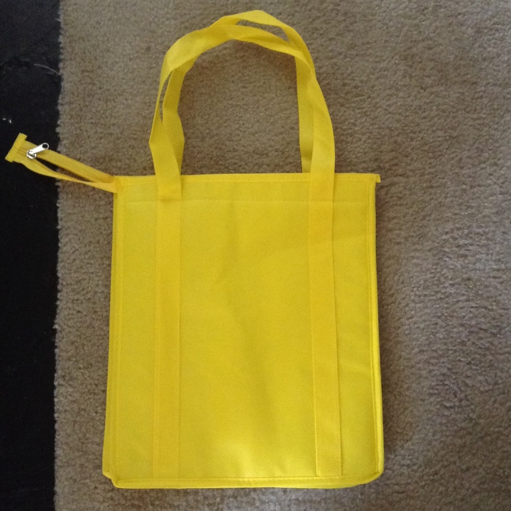Insulated temperature bag- great for cookouts