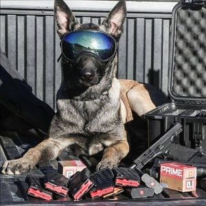 Meet your Posher, Crystal