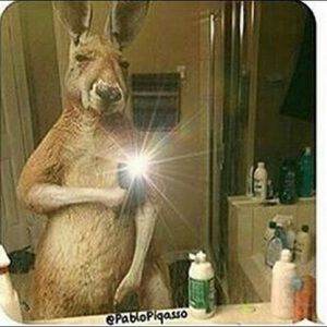 Meet your Posher, Devin