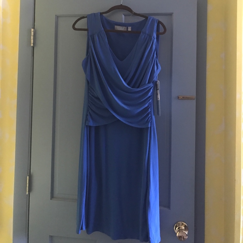 Blue dress nwt