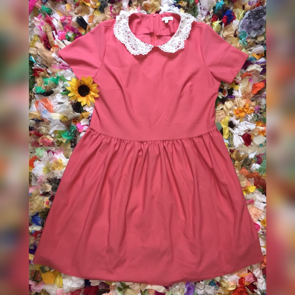 Lace Collar Dress