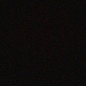 Meet your Posher, Dominic