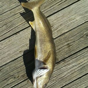 Meet your Posher, Bryant