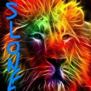 Meet your Posher, Slone