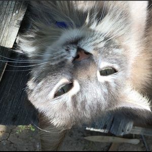 Meet your Posher, Kim