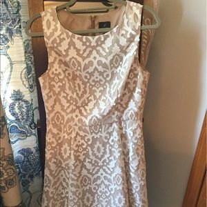 Adrianna Papell White/Nude Lace Dress