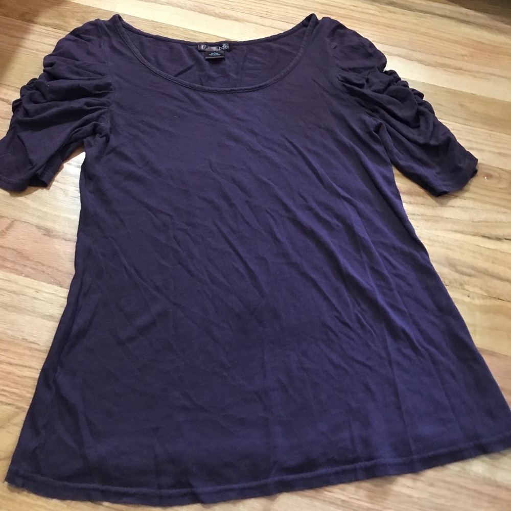 Plum Bobi Top with Roushed Sleeves
