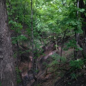 Meet your Posher, Kai rose