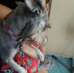 Meet your Posher, Jonathan