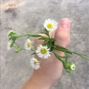 Meet your Posher, Lia