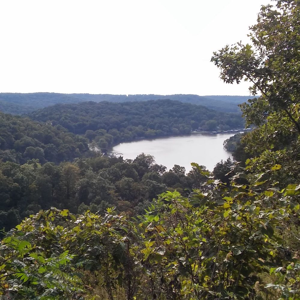 Meet your Posher, Norah