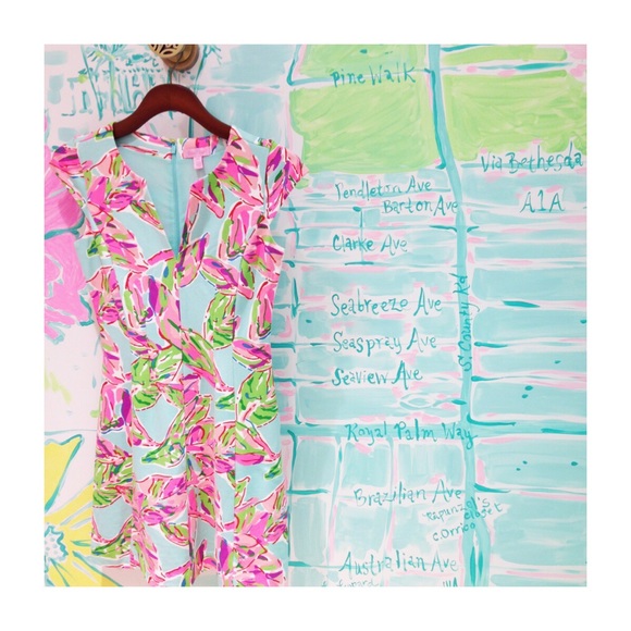 Lilly Pulitzer Dresses & Skirts - Lilly Pulitzer Briella Fit&Flare Cap Sleeve Dress