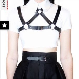 🔥DEANDRI BLACK HARNESS🔥
