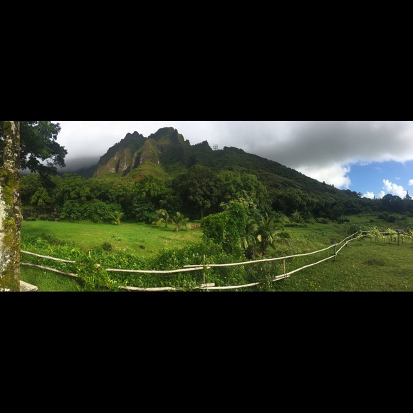 Meet Your Posher - Picture 2 of 4